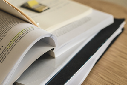 Complete Documentation with hazMIN®